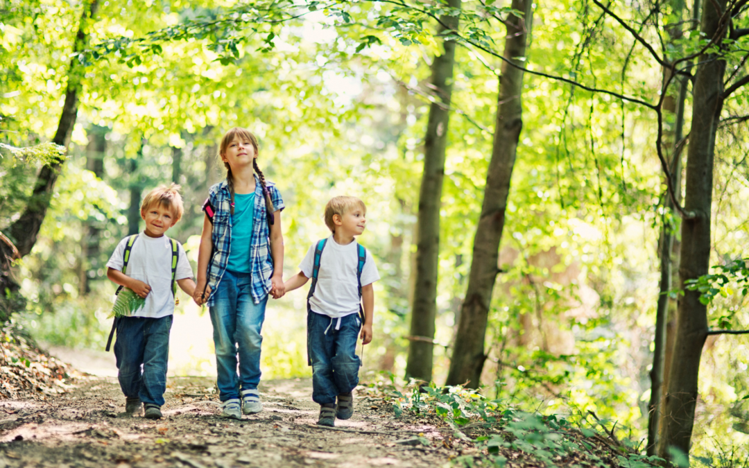 Lago di Levico per bambini: cosa fare con i tuoi figli