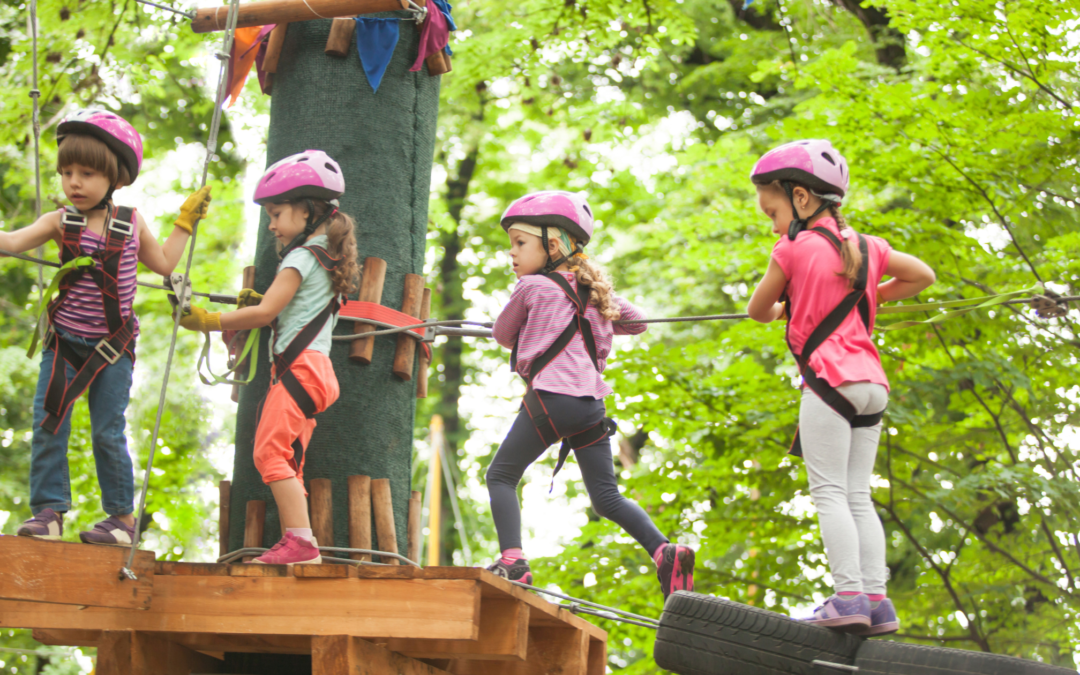 Acropark in Trentino: divertimento per tutta la famiglia